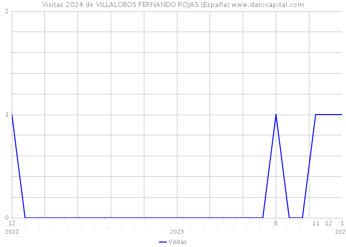 Visitas 2024 de VILLALOBOS FERNANDO ROJAS (España) 
