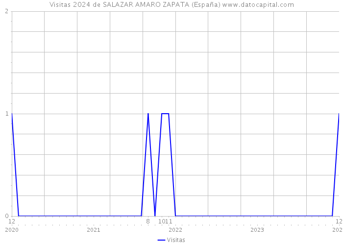 Visitas 2024 de SALAZAR AMARO ZAPATA (España) 