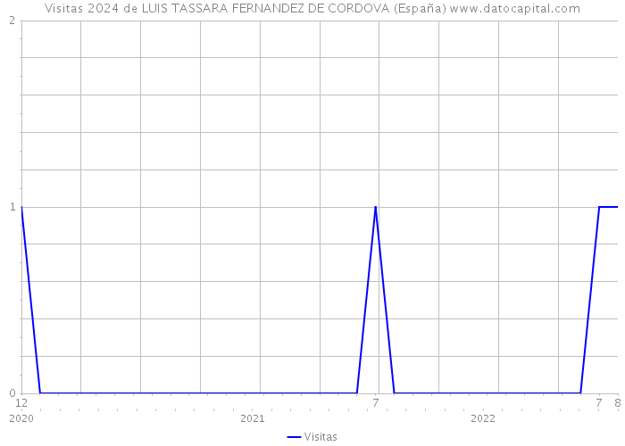 Visitas 2024 de LUIS TASSARA FERNANDEZ DE CORDOVA (España) 