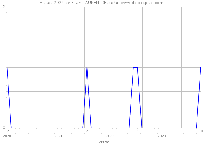 Visitas 2024 de BLUM LAURENT (España) 
