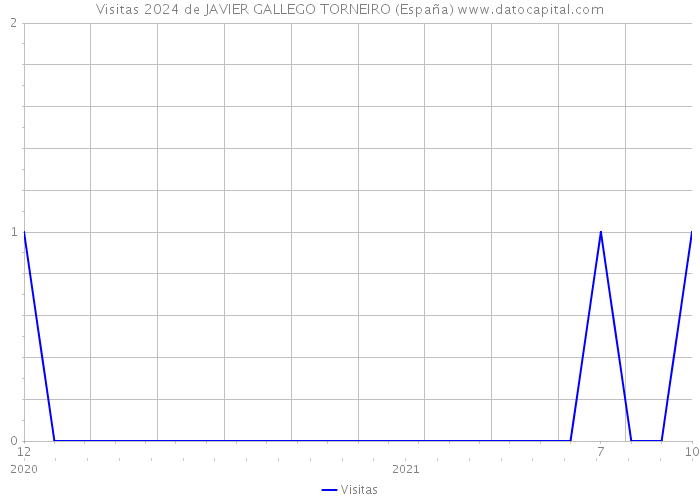 Visitas 2024 de JAVIER GALLEGO TORNEIRO (España) 