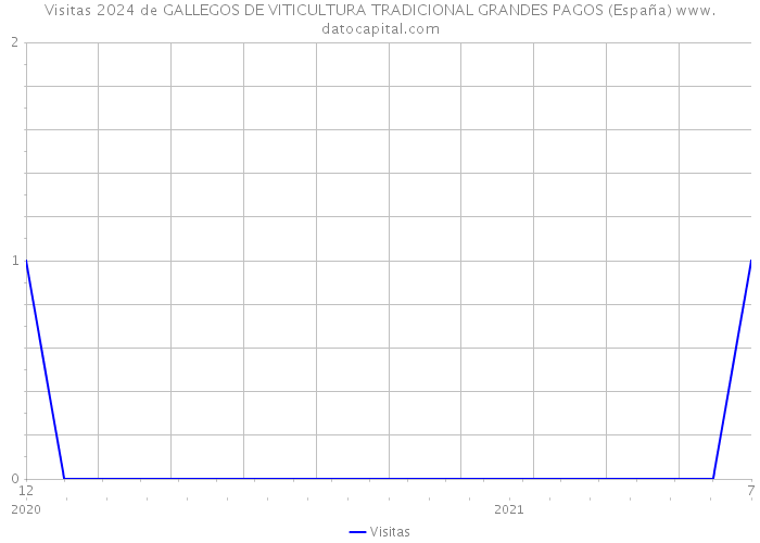 Visitas 2024 de GALLEGOS DE VITICULTURA TRADICIONAL GRANDES PAGOS (España) 