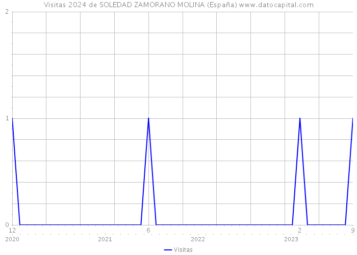 Visitas 2024 de SOLEDAD ZAMORANO MOLINA (España) 