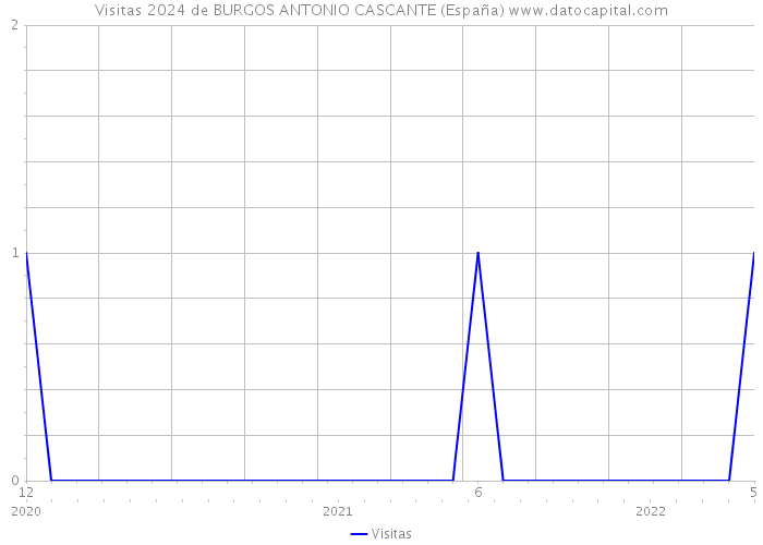 Visitas 2024 de BURGOS ANTONIO CASCANTE (España) 