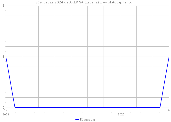 Búsquedas 2024 de AKER SA (España) 