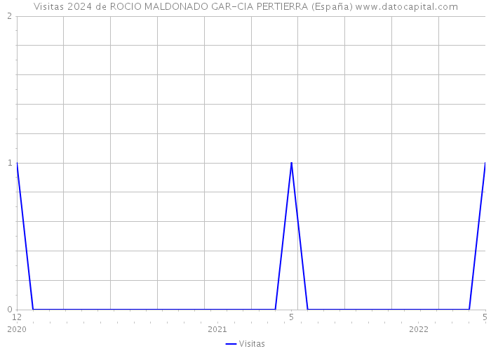 Visitas 2024 de ROCIO MALDONADO GAR-CIA PERTIERRA (España) 