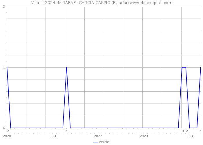 Visitas 2024 de RAFAEL GARCIA CARPIO (España) 