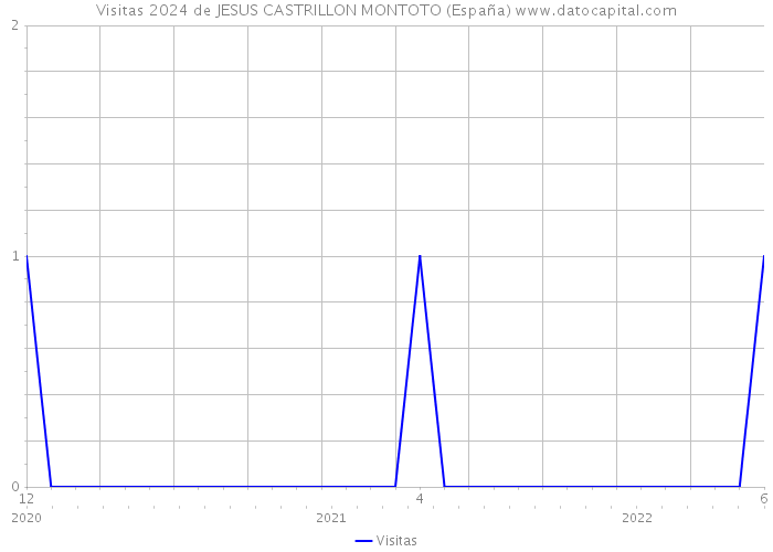 Visitas 2024 de JESUS CASTRILLON MONTOTO (España) 