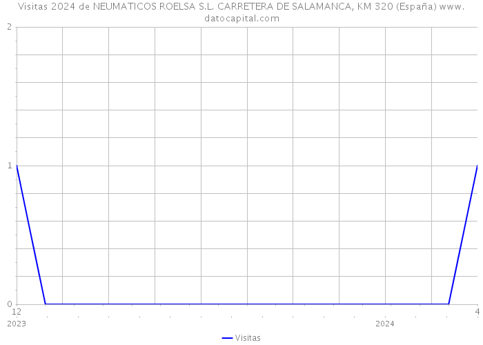Visitas 2024 de NEUMATICOS ROELSA S.L. CARRETERA DE SALAMANCA, KM 320 (España) 