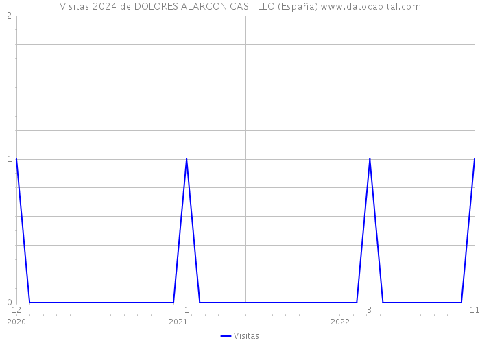 Visitas 2024 de DOLORES ALARCON CASTILLO (España) 