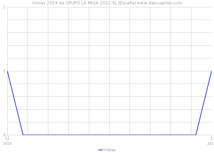 Visitas 2024 de GRUPO LA MIGA 2022 SL (España) 