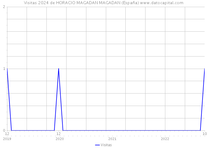 Visitas 2024 de HORACIO MAGADAN MAGADAN (España) 