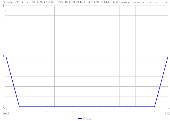Visitas 2024 de ENCARNACION CRISTINA REYERO TAMARGO MARIA (España) 
