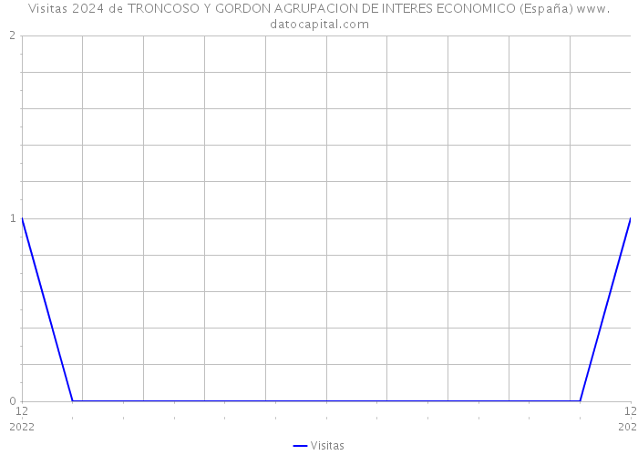 Visitas 2024 de TRONCOSO Y GORDON AGRUPACION DE INTERES ECONOMICO (España) 