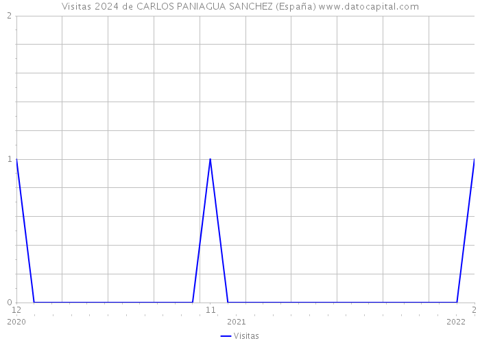 Visitas 2024 de CARLOS PANIAGUA SANCHEZ (España) 