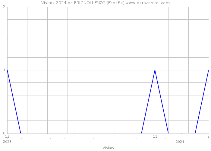 Visitas 2024 de BRIGNOLI ENZO (España) 