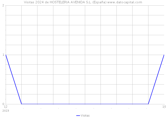 Visitas 2024 de HOSTELERIA AVENIDA S.L. (España) 