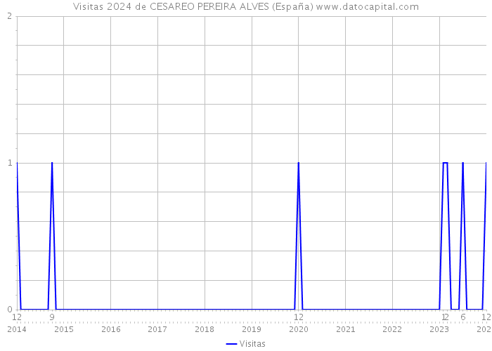 Visitas 2024 de CESAREO PEREIRA ALVES (España) 