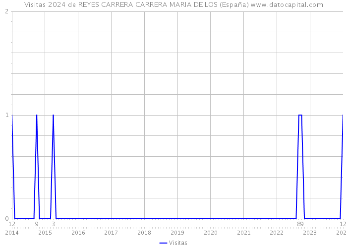 Visitas 2024 de REYES CARRERA CARRERA MARIA DE LOS (España) 