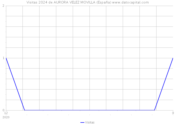 Visitas 2024 de AURORA VELEZ MOVILLA (España) 