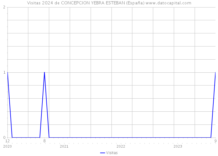 Visitas 2024 de CONCEPCION YEBRA ESTEBAN (España) 