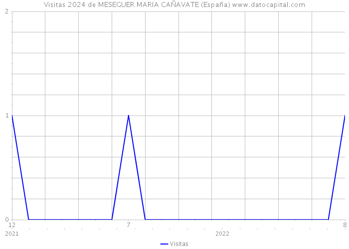 Visitas 2024 de MESEGUER MARIA CAÑAVATE (España) 