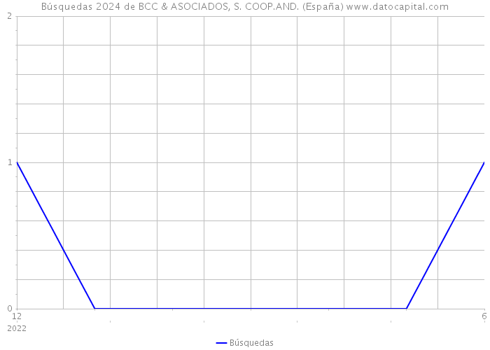 Búsquedas 2024 de BCC & ASOCIADOS, S. COOP.AND. (España) 