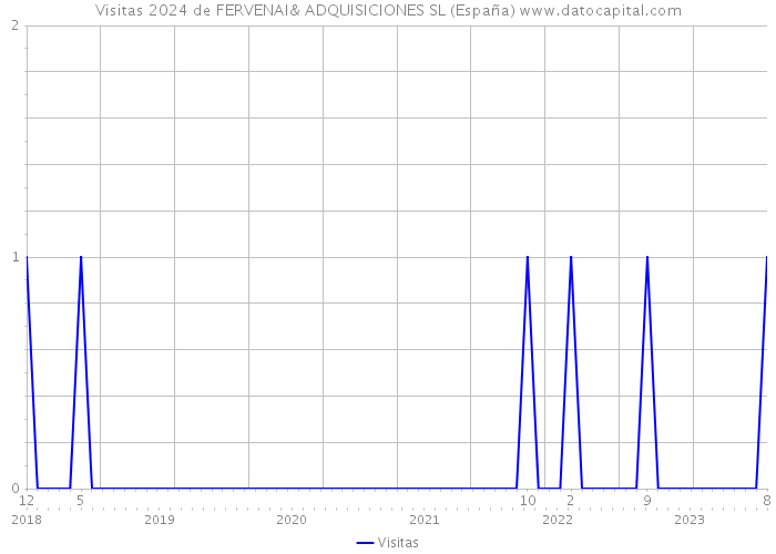 Visitas 2024 de FERVENAI& ADQUISICIONES SL (España) 