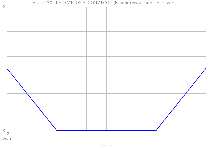 Visitas 2024 de CARLOS ALCON ALCON (España) 