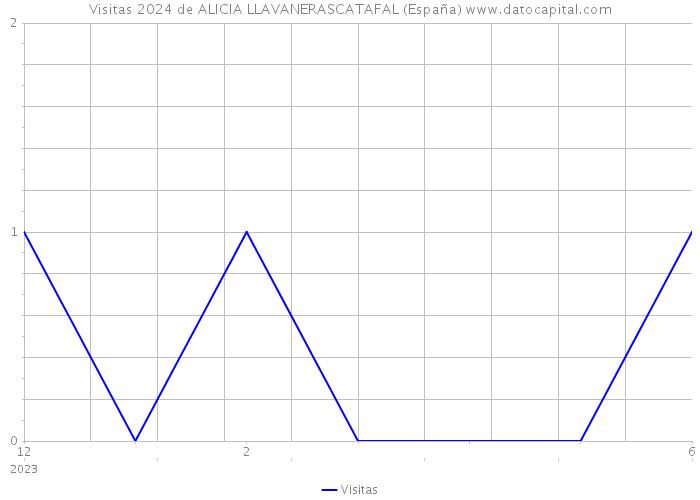 Visitas 2024 de ALICIA LLAVANERASCATAFAL (España) 