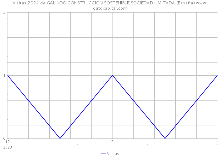 Visitas 2024 de GALINDO CONSTRUCCION SOSTENIBLE SOCIEDAD LIMITADA (España) 