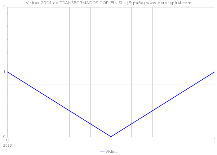 Visitas 2024 de TRANSFORMADOS COPLEIN SLL (España) 