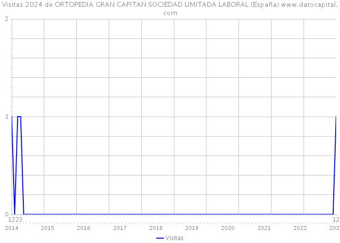 Visitas 2024 de ORTOPEDIA GRAN CAPITAN SOCIEDAD LIMITADA LABORAL (España) 