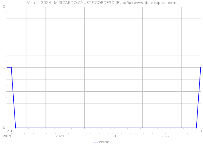 Visitas 2024 de RICARDO AYUSTE CORDERO (España) 