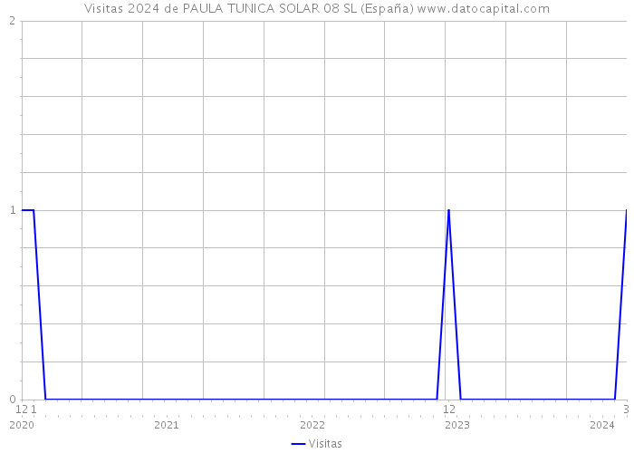 Visitas 2024 de PAULA TUNICA SOLAR 08 SL (España) 