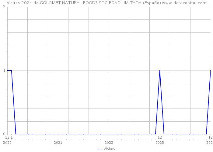 Visitas 2024 de GOURMET NATURAL FOODS SOCIEDAD LIMITADA (España) 