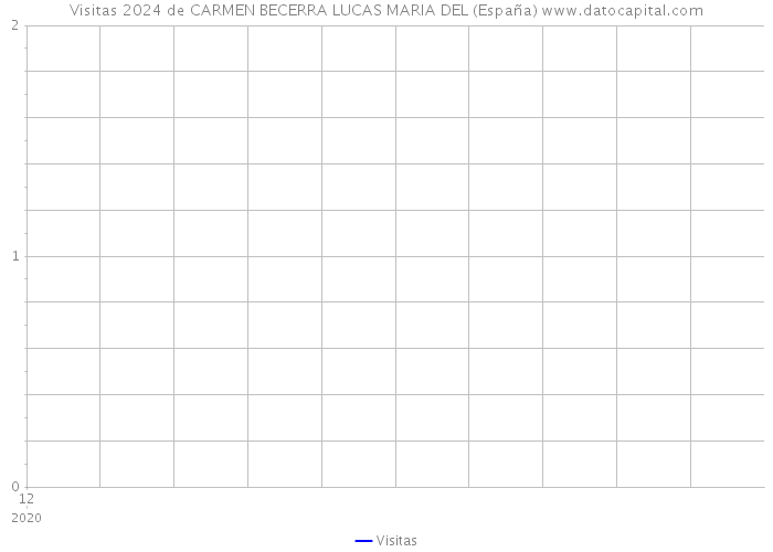 Visitas 2024 de CARMEN BECERRA LUCAS MARIA DEL (España) 