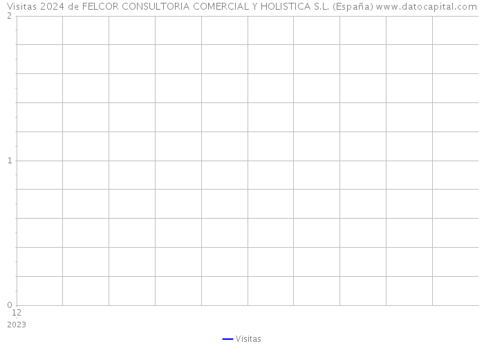 Visitas 2024 de FELCOR CONSULTORIA COMERCIAL Y HOLISTICA S.L. (España) 
