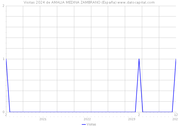 Visitas 2024 de AMALIA MEDINA ZAMBRANO (España) 