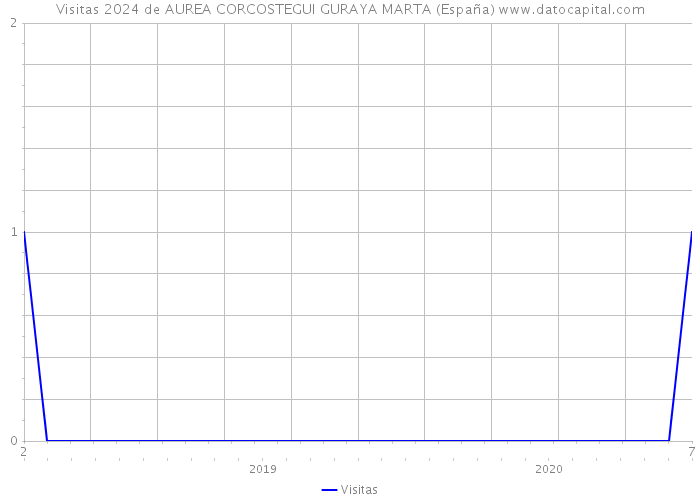 Visitas 2024 de AUREA CORCOSTEGUI GURAYA MARTA (España) 