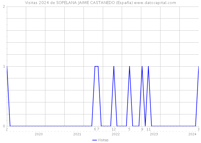 Visitas 2024 de SOPELANA JAIME CASTANEDO (España) 