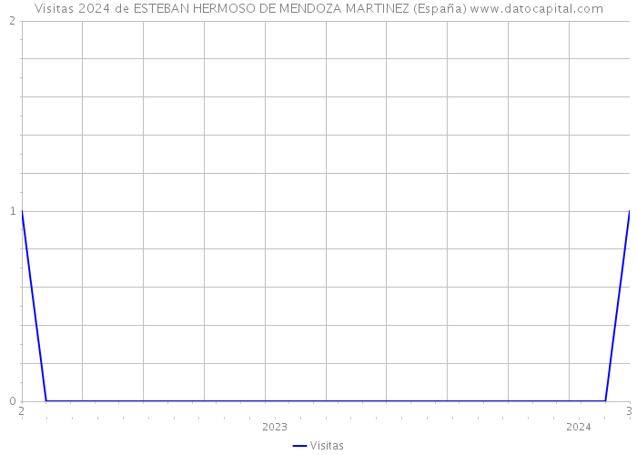 Visitas 2024 de ESTEBAN HERMOSO DE MENDOZA MARTINEZ (España) 