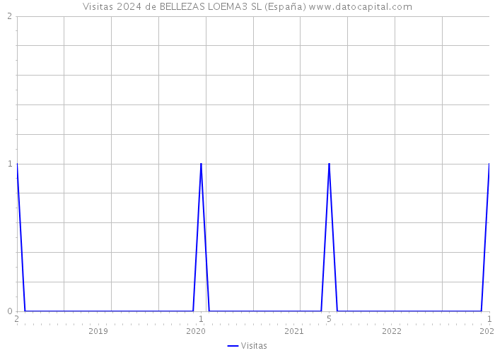 Visitas 2024 de BELLEZAS LOEMA3 SL (España) 