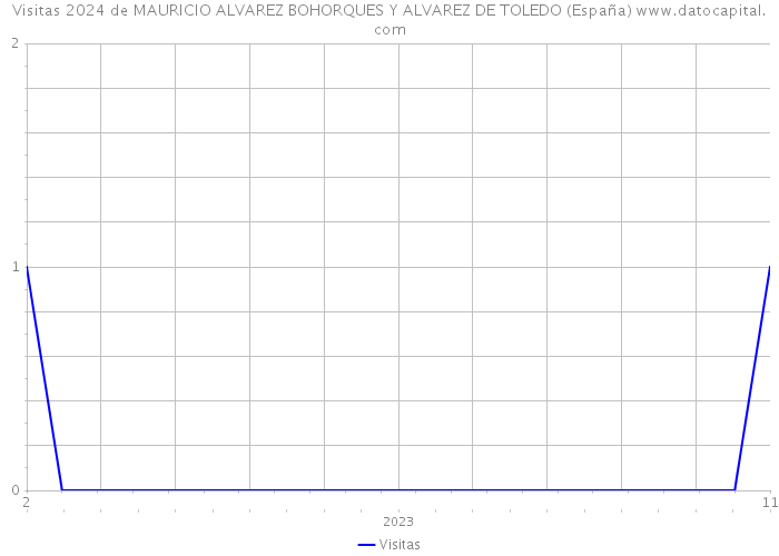 Visitas 2024 de MAURICIO ALVAREZ BOHORQUES Y ALVAREZ DE TOLEDO (España) 