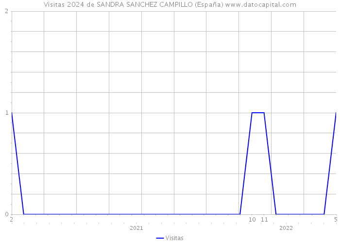Visitas 2024 de SANDRA SANCHEZ CAMPILLO (España) 