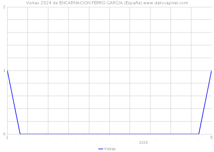 Visitas 2024 de ENCARNACION FERRO GARCIA (España) 