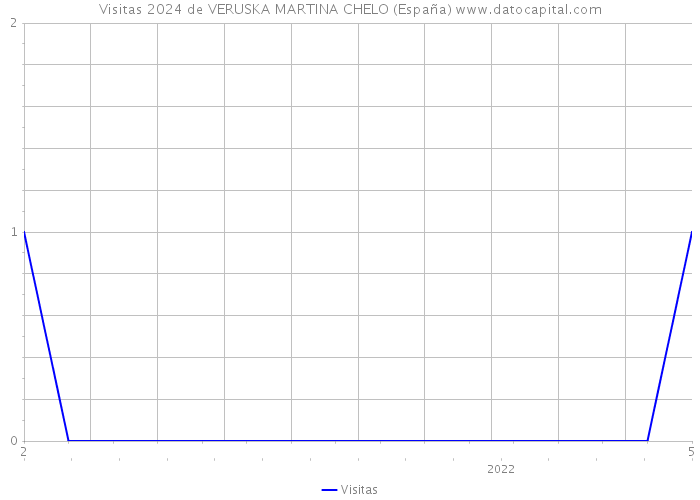 Visitas 2024 de VERUSKA MARTINA CHELO (España) 