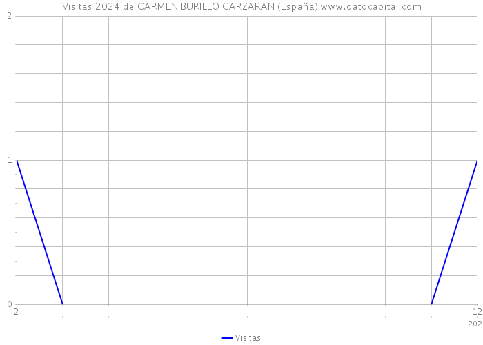 Visitas 2024 de CARMEN BURILLO GARZARAN (España) 