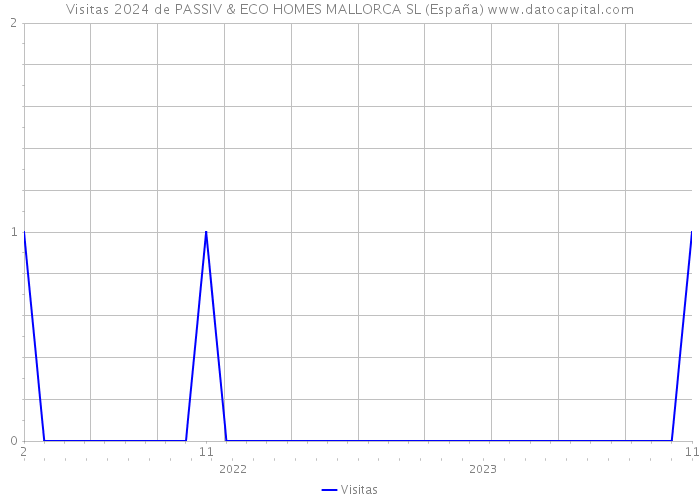 Visitas 2024 de PASSIV & ECO HOMES MALLORCA SL (España) 