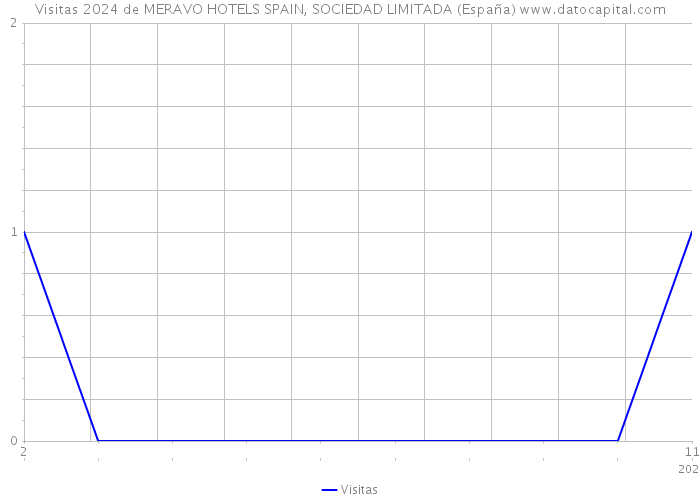 Visitas 2024 de MERAVO HOTELS SPAIN, SOCIEDAD LIMITADA (España) 